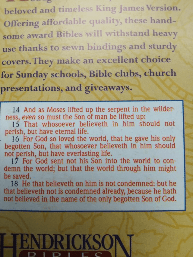 Holy Bible King James Version 