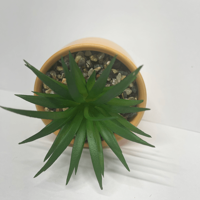 Cute Plant Pot - I Couldn’t Flourish Without You 