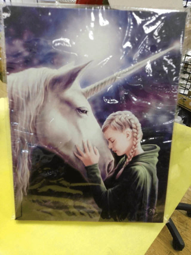 The Wish Wall Hanging Canvas Print 