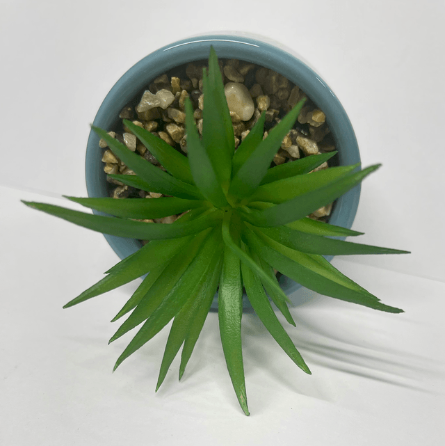 Cute Plant Pot - Thank You For Helping Me Grow 