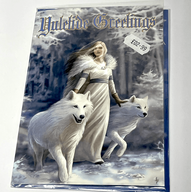 Anne Stokes Greetings Card - Winter Guardian