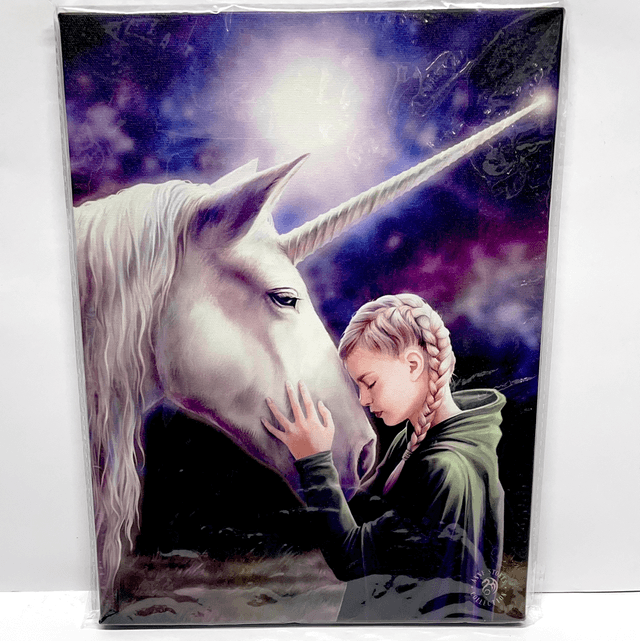 Anne Stokes Art - The Wish Hanging Canvas Print