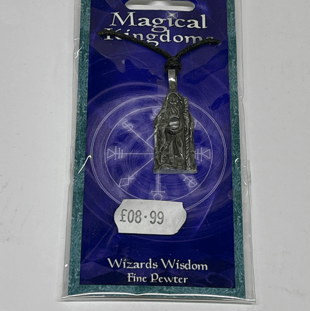 Magical Kingdom Necklace - Wizards Wisdom